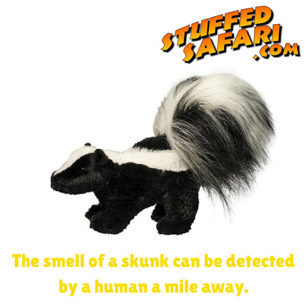 Skunk Animal Fact