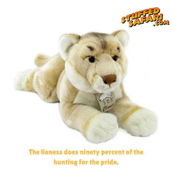 Lioness Animal Fact