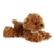 Little Chai the Stuffed Cockapoo Mini Flopsie by Aurora