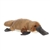 Bindi the Stuffed Platypus Mini Flopsie by Aurora