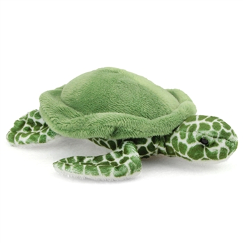 Tillie the Little Plush Sea Turtle by Douglas