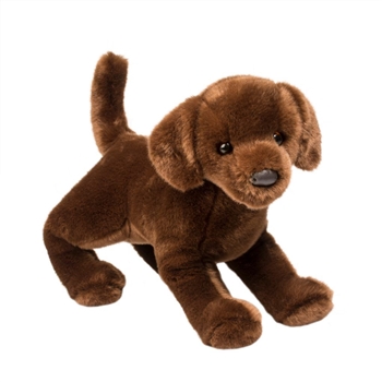 Cocoa the Plush Chocolate Lab Puppy by Douglas
