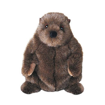 Chuckwood the Plush Groundhog by Douglas