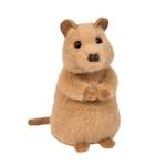 Mini Soft Quincie the 6 Inch Plush Quokka by Douglas