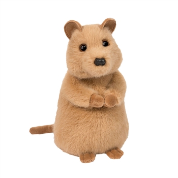 Mini Soft Quincie the 6 Inch Plush Quokka by Douglas