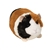 Pippin the 7 Inch Guinea Pig Stuffed Animal by Douglas