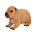 Super Soft Chattie the 15 Inch Plush Capybara by Douglas