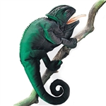 Full Body Chameleon Puppet by Folkmanis Puppets