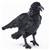 Full Body Crow Puppet by Folkmanis Puppets
