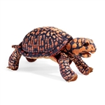 Full Body Box Turtle Puppet by Folkmanis Puppets