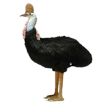 Handcrafted 29 Inch Lifelike Cassowary Stuffed Animal by Hansa