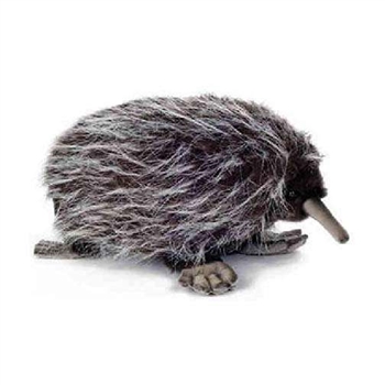 Handcrafted 10 Inch Lifelike Echidna Stuffed Animal by Hansa