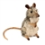 Lifelike Elephant Shrew Stuffed Animal by Hansa
