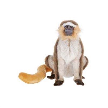 Handcrafted 14 Inch Lifelike Vervet Monkey Stuffed Animal by Hansa