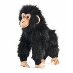 Handcrafted 12 Inch Lifelike Chimp Stuffed Animal by Hansa