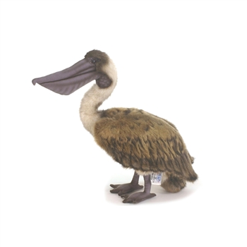 Lifelike Brown Pelican Stuffed Animal by Hansa