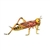 Handcrafted Lifelike Grasshopper Stuffed Animal by Hansa