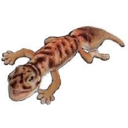 Handcrafted 10 Inch Lifelike Pibora Knob-tailed Gecko Stuffed Animal by Hansa