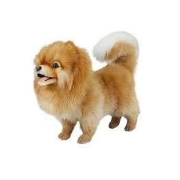 Handcrafted 14 Inch Lifelike Pomeranian Dog Stuffed Animal by Hansa