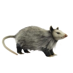 Handcrafted 12 Inch Lifelike Opossum Stuffed Animal by Hansa