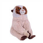 Mini Cuddlekins 8 Inch Stuffed Slow Loris by Wild Republic