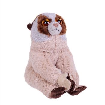 Mini Cuddlekins 8 Inch Stuffed Slow Loris by Wild Republic