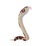 Coilkins Posable Stuffed Blunt Headed Tree Snake by Wild Republic