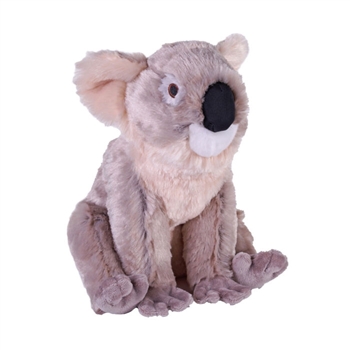 Eco-Friendly Cuddlekins 12 Inch Stuffed Koala by Wild Republic