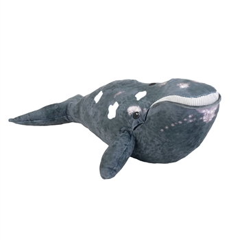 Eco-Friendly Cuddlekins 12 Inch Stuffed Northern Whale by Wild Republic