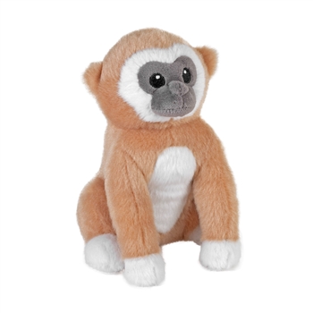 Splendors Eco-Friendly Small Plush Gibbon by Wild Republic