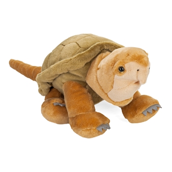 Eco-Friendly Cuddlekins 12 Inch Stuffed Asian Big Headed Turtle by Wild Republic