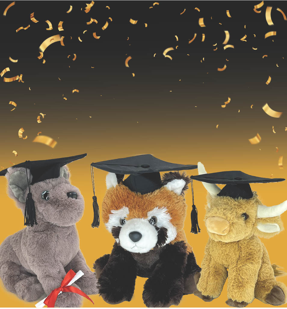 Graduation Stuffed Animals